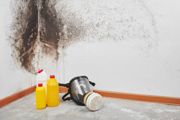 Best Mold Testing  in East Cleveland, TN