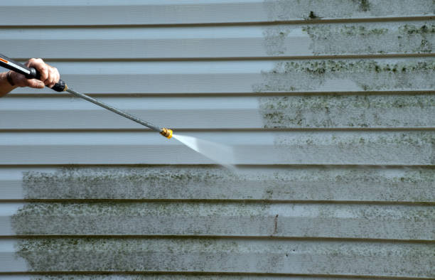 Best Toxic Mold Removal  in East Cleveland, TN