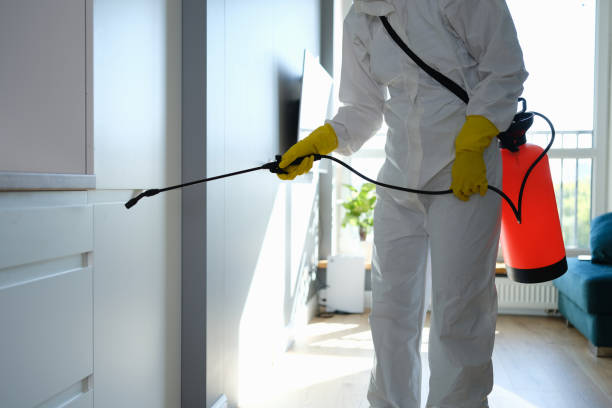 Best Toxic Mold Removal  in East Cleveland, TN