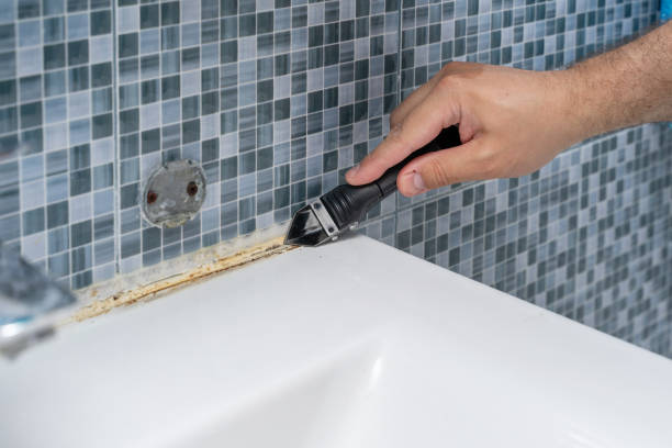 Best Mold Testing  in East Cleveland, TN