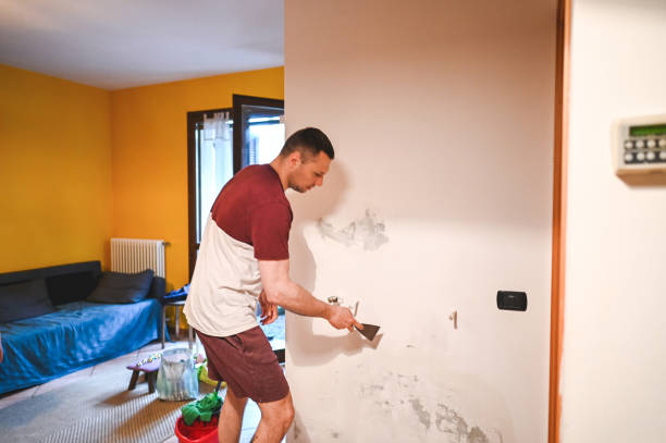 Best Mold Testing and Removal  in East Cleveland, TN